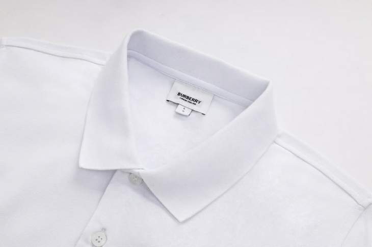 Picture of Burberry Polo Shirts Short _SKUBurberryM-3XL25wr0229397